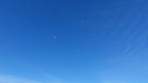 16.12.25 г. Андижанские голуби. Ястреб атакует ! (1)