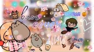 влог вечер ЛИИ тока бока