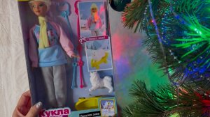 Распаковка - Кукла Зимний спорт с аксессуарами 30см из Чижика (кукла зима)