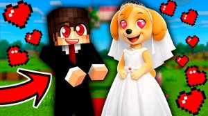 ЗЕРО и СКАЙ ЩЕНЯЧИЙ ПАТРУЛЬ ПОЖЕНИЛИСЬ в МАЙНКРАФТЕ