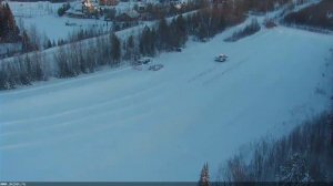 LIVE: channel72300343