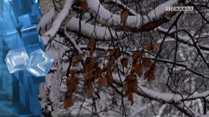 В предстоящую неделю, в Кузбассе ожидается максимальная температура -1°С, а минимальная -21°С