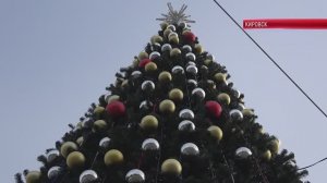 ТК "Родной" В Кировске приступили к установке главной городской ёлки