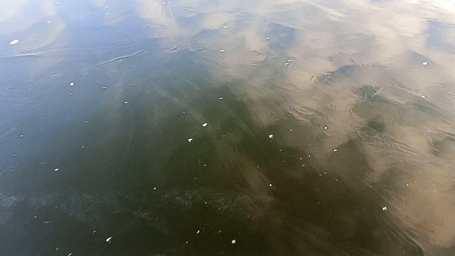 ПЕРВЫЙ ЛЁД В АСТРАХАНИ! 16.12.2025. ЭТО НЕ ФЕЙК! НАКОНЕЦ-ТО ЗИМНЯЯ РЫБАЛКА!