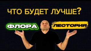 Квартиры в Сочи с ремонтом и без, у моря. Обзор жилые комплексы Сочи Лестория и Флора