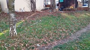 Кисловодск глазами "Крокодила 🐊Ставрополья". Ул. Героев Медиков. 16.12.2025 г.