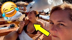 ПОДБОРКА ПРИКОЛОВ Я РЖАЛ ДО СЛЕЗ, ЛУЧШИЕ ПРИКОЛЫ 2025 СМЕШНЫЕ ВИДЕО, ДЕВУШКИ , ПОДБОРКА ПРИКОЛОВ