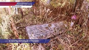 Анатолий Москвин останется в психиатрической больнице по решению суда