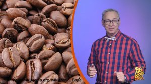 Всё обо всём. История кофе. Выпуск от 16.12.25