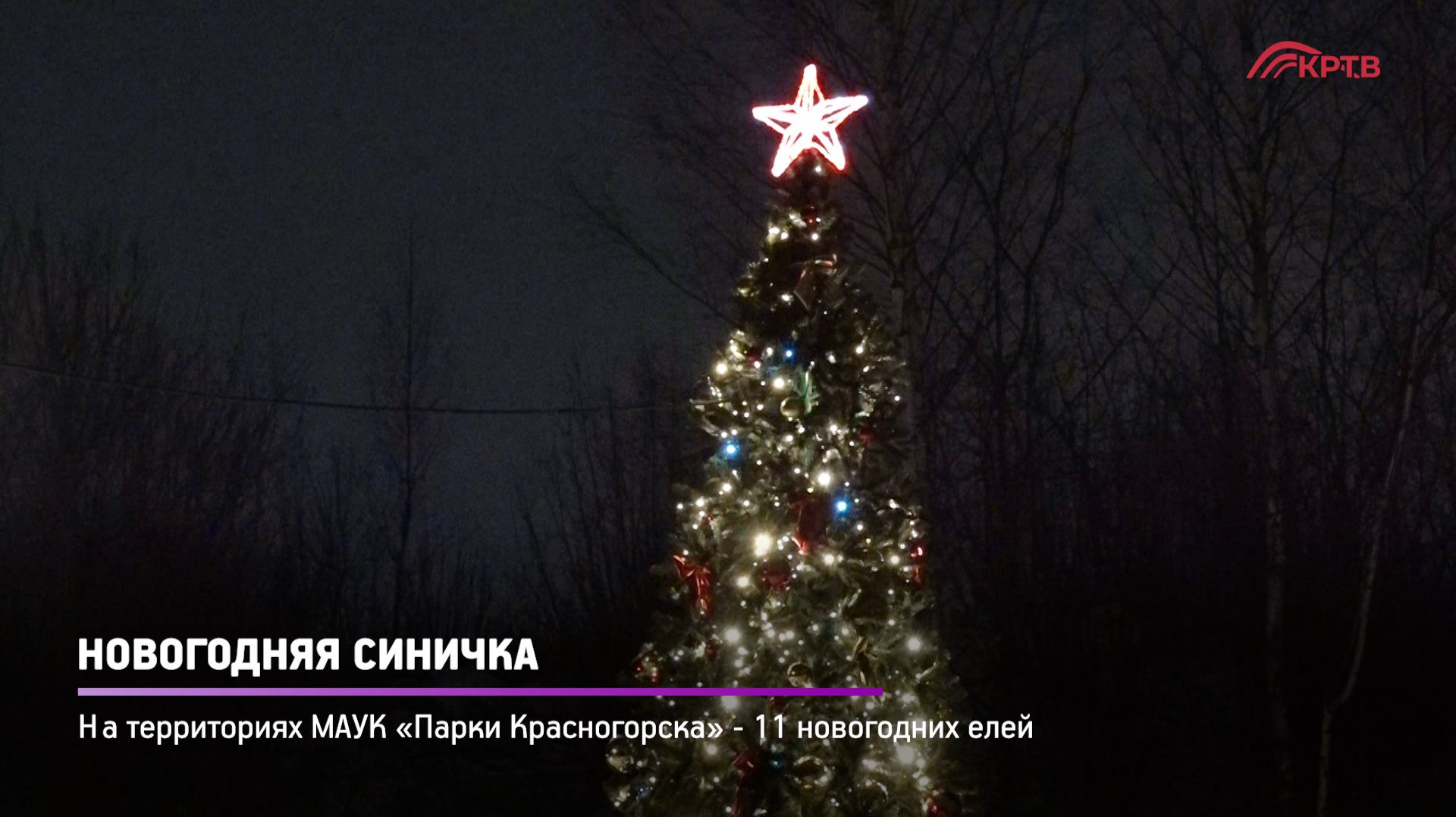 КРТВ. Новогодняя Синичка смотреть онлайн