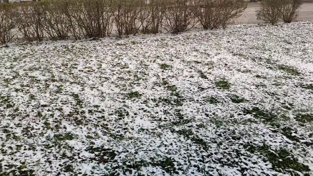 Один из дней города Евпатории | 12 февраля 2021 год  Крым  ХАН БАТОН XAH 6ATOH | VID_20210212_140737