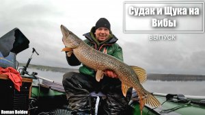 ЭТУ АТАКУ ЩУКИ НАДО ВИДЕТЬ!!!  Зимняя рыбалка 2025. Ловля Судака и Щуки на вибы.