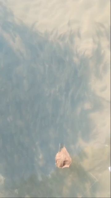 Удачной рыбалки