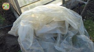 Как не замерзнет теплица зимой? Секреты опытных садоводов