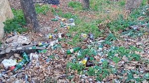 Кисловодск. Новый светофор и свалка! 16
12.2025 г.