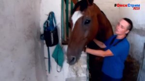 LIVE Омск в объективе - 24/7/365 #ОмскСтрим социальный онлайн-канал