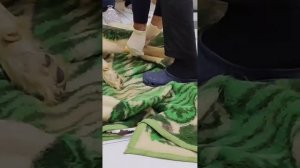 Спасение выброшенного старого и больного алабая