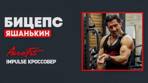 ЯШАНЬКИН: Нюансы Подъема на БИЦЕПС Impulse IT95
