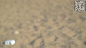 Молодая девушка на песчаном пляже, загорает .Эротика.