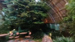 Зимний сад. Оранжерея. Санаторий Строитель. Ижевск, Удмуртия