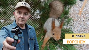 В зимнем парке, тишина! Воронеж 16.12.25г.