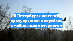 В Петербурге жителей предупредили о перебоях с мобильным интернетом