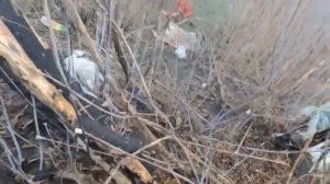 Дороги Войны