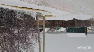 пошла на вб за подарками от подписчицы