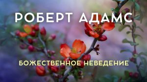 Божественное неведение. Роберт Адамс