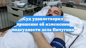 Суд удовлетворил прошение об изменении подсудности дела Пичугина