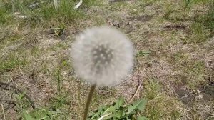 Ах лето 🌞🌴🏄🎇пролетело. Так жаль...