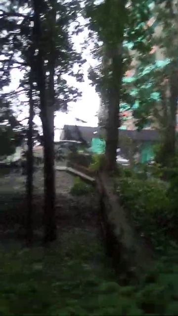 СИЛЬНЫЙ ГРАД. смотреть онлайн