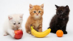 ВИДЕО ДЛЯ ДЕТЕЙ