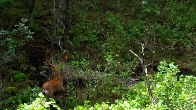 2009.09.10 Владивосток, Находка, ч.44