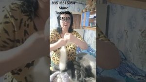 пуховые изделия