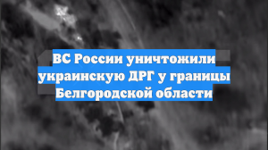 ВС России уничтожили украинскую ДРГ у границы Белгородской области