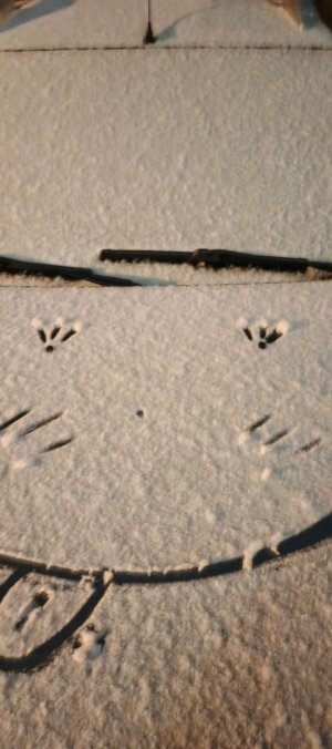 Заходи и пиши комммм