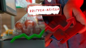 НОВОСТИ КАМЧАТКИ: 22 – ГУСИ-ЛЕБЕДИ