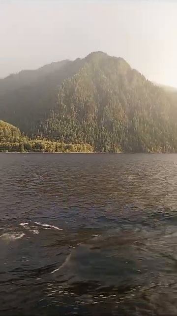 Красота.Телецкое радуга.