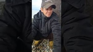 Алеутики ищут золото