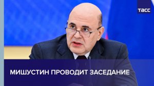 Мишустин проводит заседание