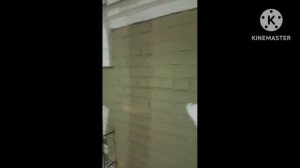 Ползу по бездорожью 🐢