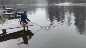 Работают закидушки. Клёвое место, Лосиный остров, верхний водоём.