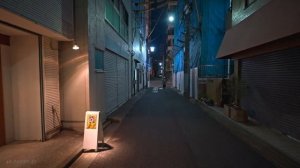 🌅 Токио 2025: от Гококудзи до Иидабаси – прогулка от заката к ночи! ✨