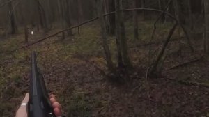 О главном. Выпуск 102