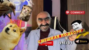 ПОДБОРКА СМЕШНЫХ ВИДОСОВ 🤣 | ЧАСТЬ 1