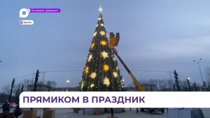 20-метровую новогоднюю ёлку заканчивают украшать в Артёме