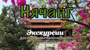 Вьетнам 2025. Цены на туры. Самый большой рынок Нячанга. #нячанг #travel