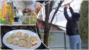 Беда была совсем близко! Дом отстояли. Тонкие блинчики и пельмени с секретом. Посеяла подсолнечник