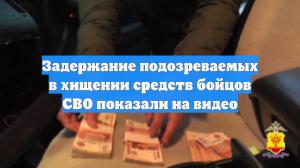 Задержание подозреваемых в хищении средств бойцов СВО показали на видео